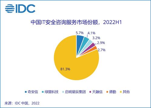 IDC報告解讀 2022上半年中國網絡安全服務市場穩健增長，網絡服務能力成為核心驅動力